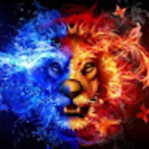 Meet your Posher, Loren